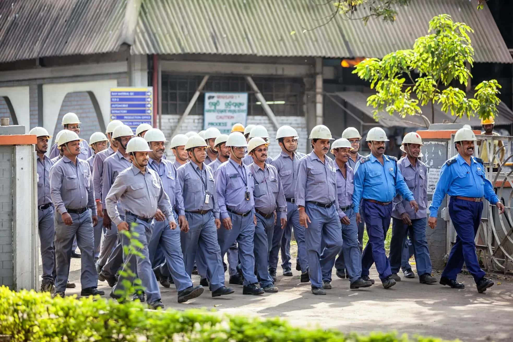 Explore Careers at IMFA